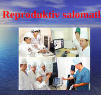 "Reproduktiv salomatlik" mavzusida master klass