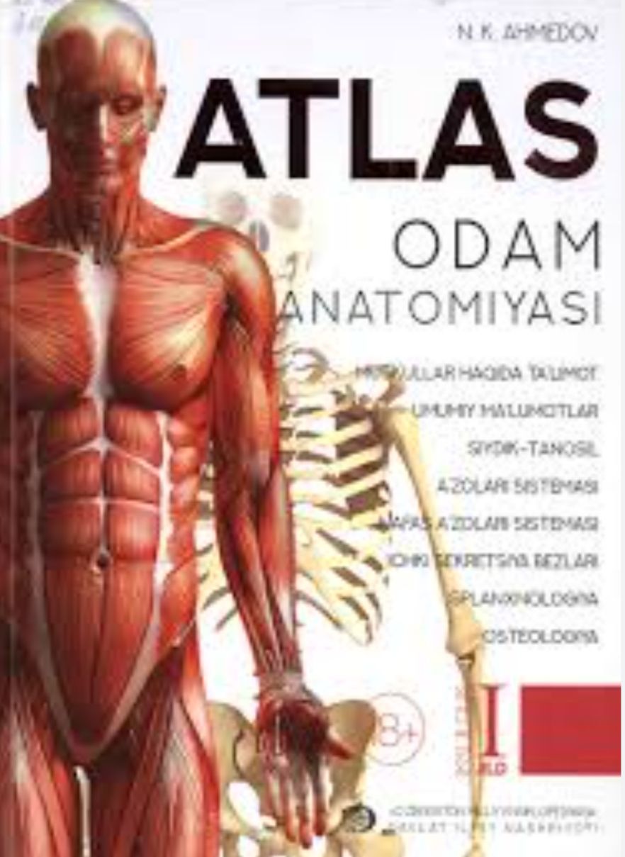 BITU da bepul anatomiya kursi.
